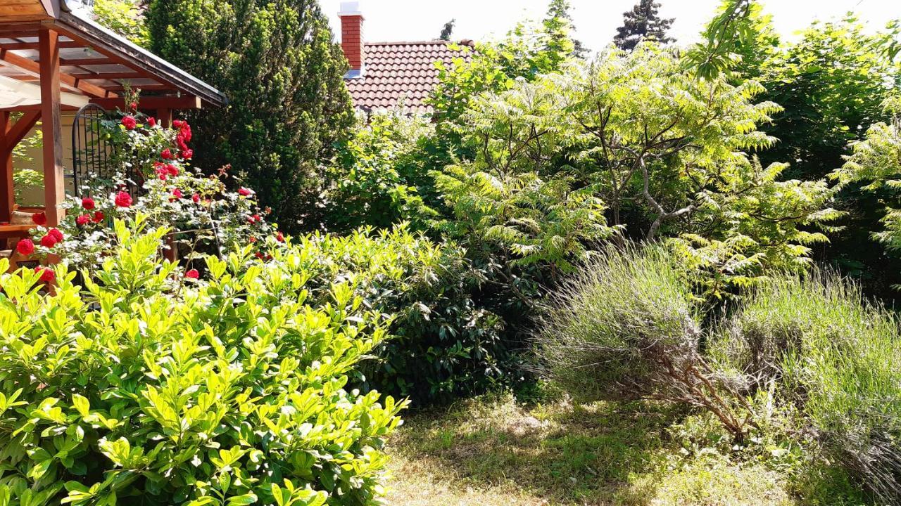 Szalakota Haz Villa Balatongyörök Exteriör bild